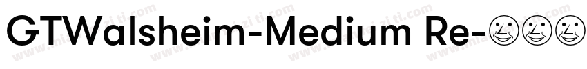 GTWalsheim-Medium Re字体转换